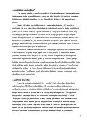 Lageris – žmogaus nužmoginimo sistema 4 puslapis