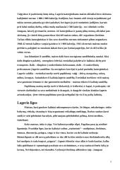 Lageris – žmogaus nužmoginimo sistema 5 puslapis