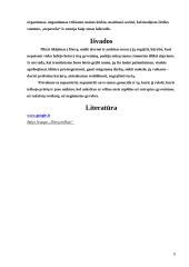 Lageris – žmogaus nužmoginimo sistema 6 puslapis