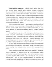 Lietuvių laidotuvių papročiai. Mirusiųjų kultas 2 puslapis