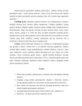 Lietuvių laidotuvių papročiai. Mirusiųjų kultas 9 puslapis