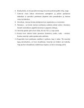 Lietuvių laidotuvių papročiai. Mirusiųjų kultas 10 puslapis