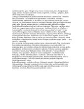 Laikrodžių muziejus 5 puslapis