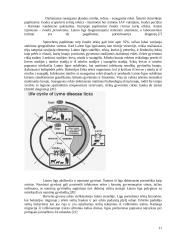 Laimo ligos sukėlėjas, jo savybės, ekologija 11 puslapis