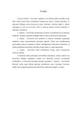 Laurynas Stuoka-Gucevičius 11 puslapis