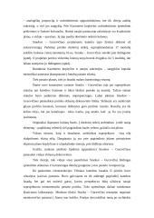 Laurynas Stuoka-Gucevičius 5 puslapis