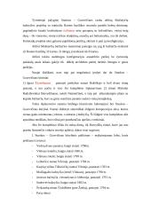 Laurynas Stuoka-Gucevičius 9 puslapis