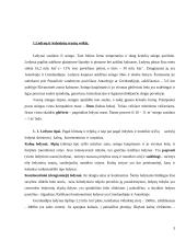 Ledynų ir jų tirpsmo suformuotas reljefas 3 puslapis