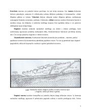 Ledynų ir jų tirpsmo suformuotas reljefas 5 puslapis