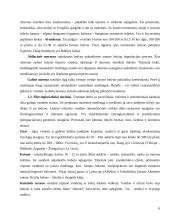 Ledynų ir jų tirpsmo suformuotas reljefas 6 puslapis