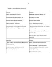 Lengvoji pramonė 12 puslapis