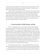 Lengvoji pramonė 3 puslapis