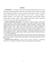 Lenkijos valstybės politinė sistema iki 1926 metų 3 puslapis