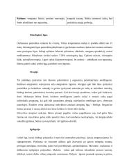 Lėtiniai somatiniai susirgimai 8 puslapis