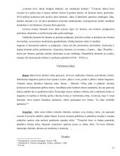 Liaudies drabužiai 11 puslapis