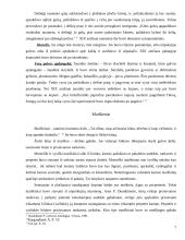 Liaudies drabužiai 7 puslapis