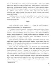 Liaudies drabužiai 8 puslapis