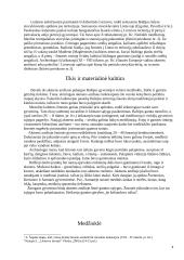 Lietuva senovėje 4 puslapis