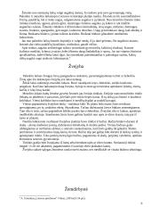 Lietuva senovėje 6 puslapis