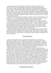 Lietuva senovėje 7 puslapis