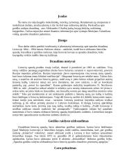 Lietuviškos spaudos draudimas 1864-1904 metais 2 puslapis