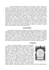 Lietuviškos spaudos draudimas 1864-1904 metais 3 puslapis