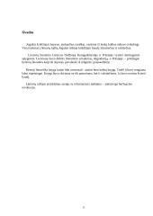 Lietuviškosios raštijos pradžia 11 puslapis