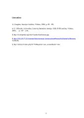 Lietuviškosios raštijos pradžia 12 puslapis