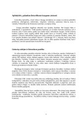 Lietuviškosios raštijos pradžia 4 puslapis