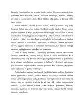 Lietuvių liaudies dainų rūšių aprašymai 4 puslapis