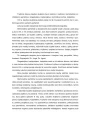 Lietuvių liaudies tradicinė skulptūra 4 puslapis