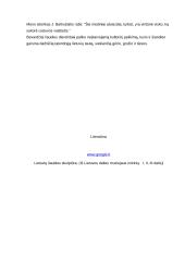 Lietuvių liaudies tradicinė skulptūra 10 puslapis