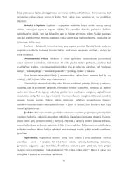 Lietuvių šeimos papročiai 15 puslapis