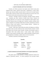 Lietuvių tautosakos žanrų skirtumai 4 puslapis
