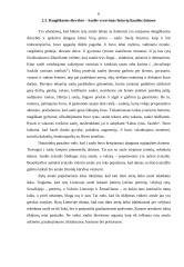 Lietuvių tautosakos žanrų skirtumai 6 puslapis