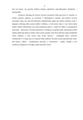 Lietuvių tautosakos žanrų skirtumai 9 puslapis