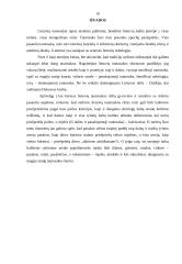 Lietuvių tautosakos žanrų skirtumai 10 puslapis