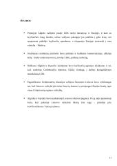 Lietuvos Didžioji Kunigaikštystė (LDK) XIV amžiaus II pusėje: politinės krizės brendimas 11 puslapis