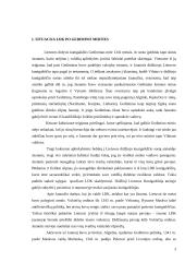 Lietuvos Didžioji Kunigaikštystė (LDK) XIV amžiaus II pusėje: politinės krizės brendimas 3 puslapis