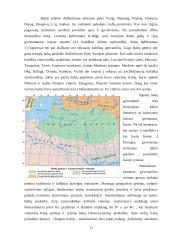 Lietuvos istorija baltų laikotarpiu 17 puslapis