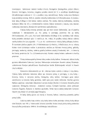 Lietuvos istorija baltų laikotarpiu 20 puslapis