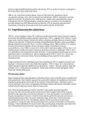 Lietuvos istorija: nuo priešistorės iki dabar 13 puslapis