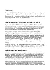 Lietuvos istorija: nuo priešistorės iki dabar 3 puslapis