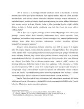 Lietuvos krikšto etapai 7 puslapis