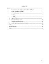 Lietuvos krikštas ir Vilniaus vyskupystės įkūrimas 2 puslapis