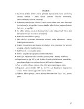 Lietuvos krikštas ir Vilniaus vyskupystės įkūrimas 17 puslapis