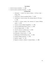 Lietuvos krikštas ir Vilniaus vyskupystės įkūrimas 18 puslapis