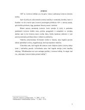 Lietuvos krikštas ir Vilniaus vyskupystės įkūrimas 3 puslapis