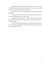 Lietuvos krikštas ir Vilniaus vyskupystės įkūrimas 6 puslapis