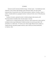 Lietuvos kultūra XVIII amžiuje 10 puslapis